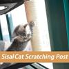 Double-layer Kitten Hammack Hanging Window Sunbathing Cat Hammack Velvet Mat Suction Cup Cat Sisal Scratching Post Durable
