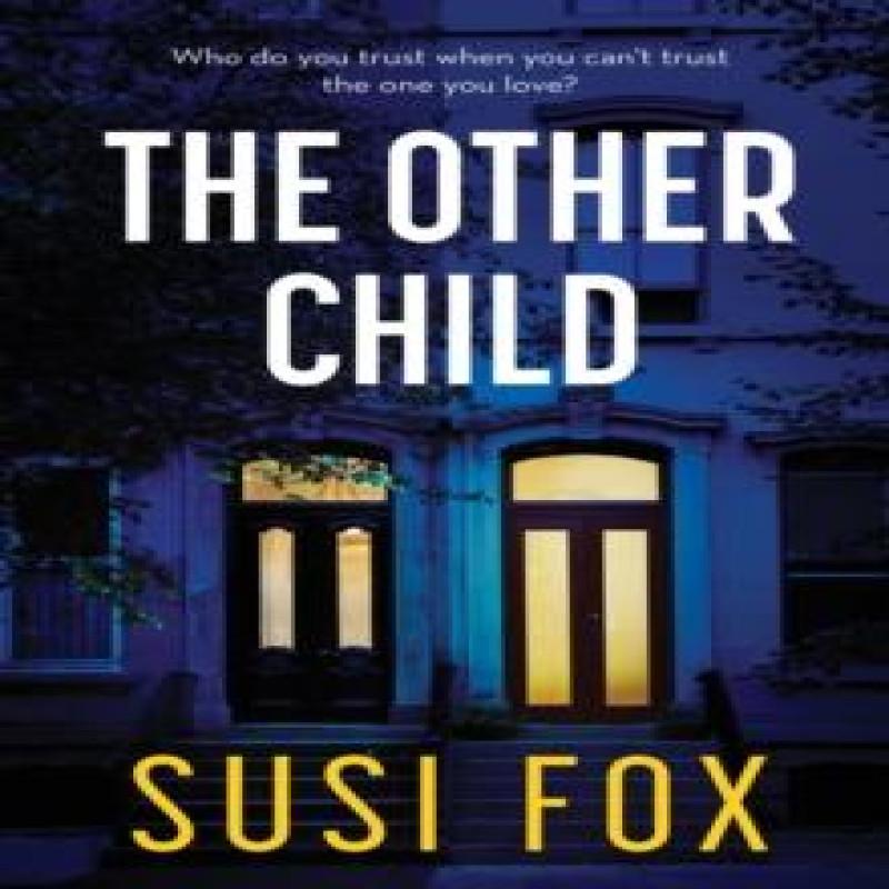 The Other Child by Susi Fox Paperback Book 9781405935562