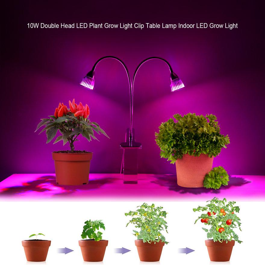 Xdia 10w Double Head Led Plant Grow Light Clip Table Lamp Indoor At A Low S On Joom E Commerce Platform - Can I Use A Desk Lamp As Grow Light Xdia 10w Double Head Led Plant Grow Light Clip Table Lamp Indoor At A Low S On Joom E Commerce Platform - Can I Use A Desk Lamp As Grow Light