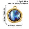 2pcs Different Shape Transparent Drip Oil Abalone Shell Charm Stainless Steel Charms For Jewelry Making Pendant DIY Accessories
