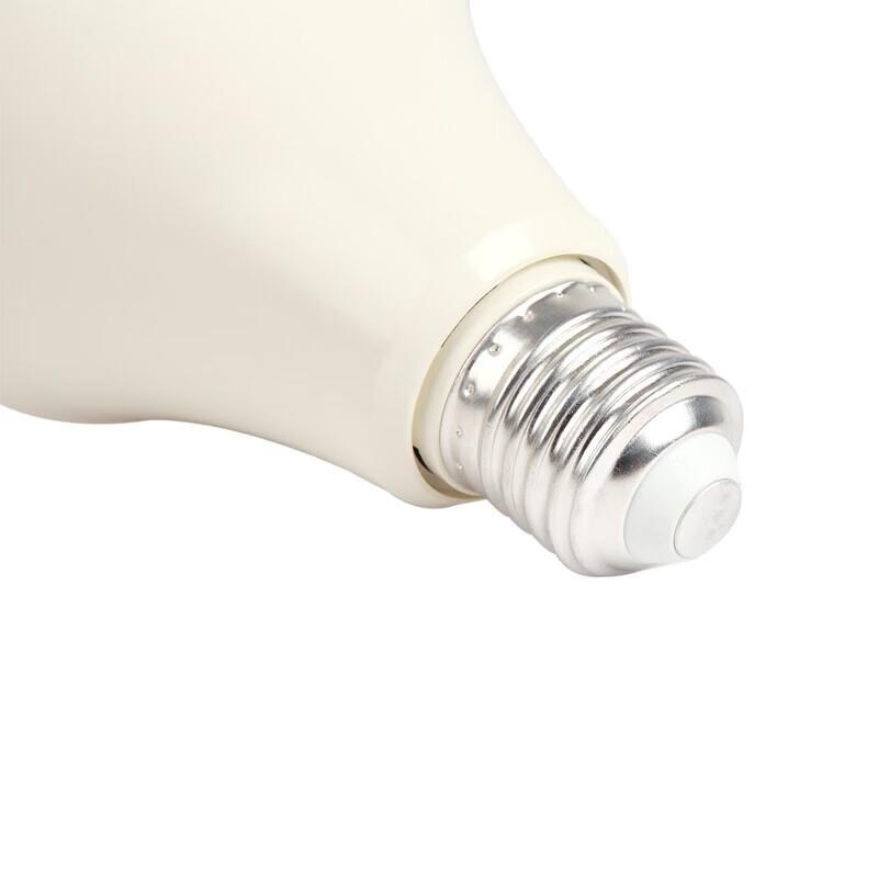 LED Light Bulb