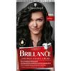 Briance Hair Color 890 Black