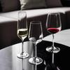 MDNG Crystal Glass Red Wine & Champagne Glass Set