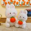 Card Good Things Rabbit Plush Toy Send Girlfriend Persimmon Rabbit Birthday Gift Doll Machine Doll Wedding Throwing