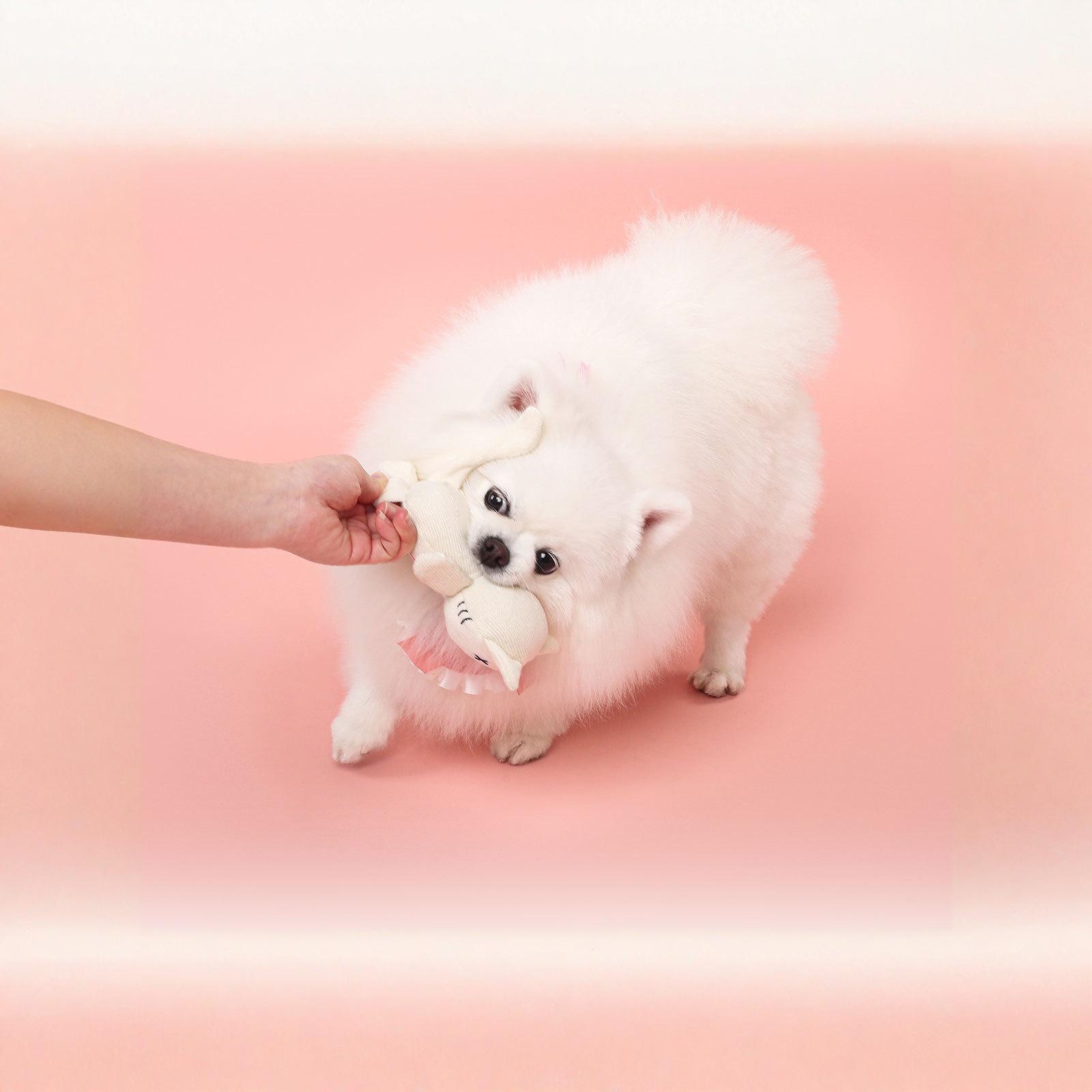 

Plush Squeaky Dog Toy Resistant Teeth Grinding Boredom Pet Toy for Small Medium Dogs Puppies one size