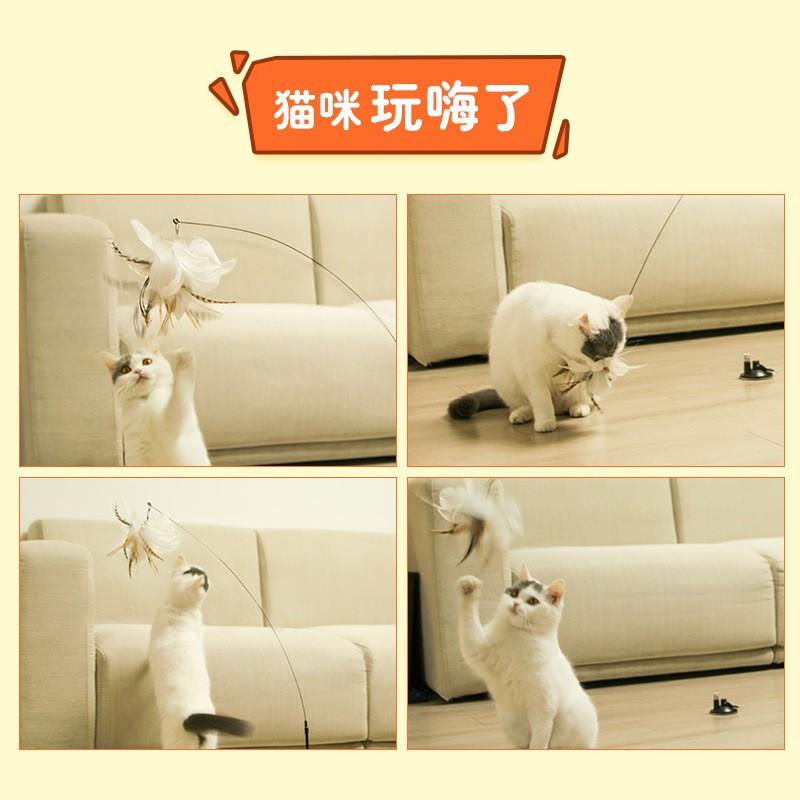Interactive Cat Wand Toy With Feathers Suction Cup Base Indoor Play Mental Stimulation