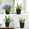 Plastic Seedling Pot with Drainage Holes, Lightweight and Portable for Indoor and Outdoor Flower and Vegetable Planting - Durable,