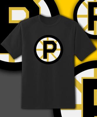 Providence Bruins Team Logo Shirt Adult and Youth Sizes S-6XL Tracking!!