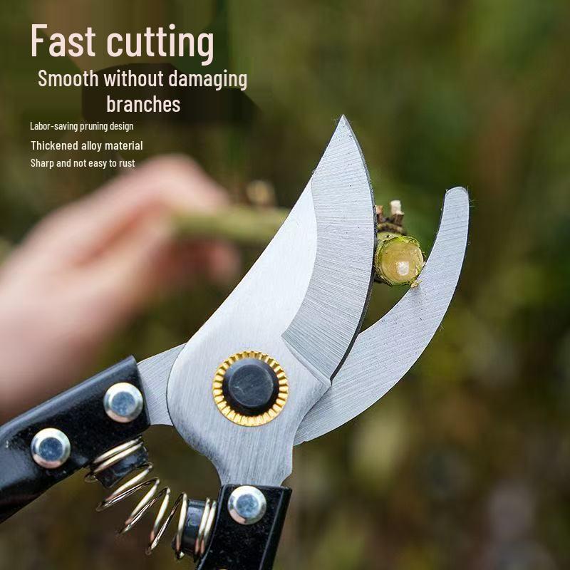 Professional Stainless Steel Pruning Shears for Gardening, Fruit Trees, Potted Plants, and Flower Picking