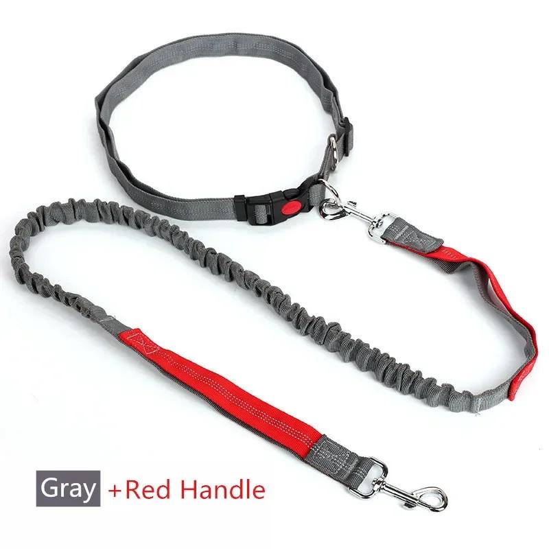 Retractable Dog Leash with Adjustable Size Rope, Free Hand, Running, Jogging, Cycling, Big Dogs, Pet Elasticity, Pet Supplies