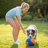 Durable Dog Toy Soft Plush Ball for Interactive Play and Chewing Suitable for Medium to Large Dogs Indoor and Outdoor Use
