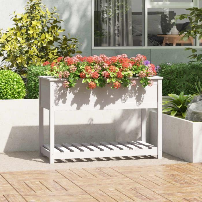VidaXL Jardinière avec étagère Blanc 111,5x54x81 cm Bois massif de pin 823788