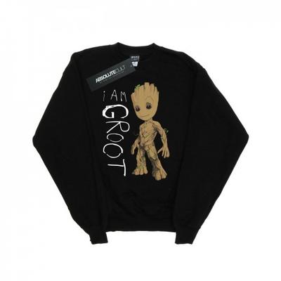 Girls Guardians Of The Galaxy I Am Groot Scribbles Sweatshirt