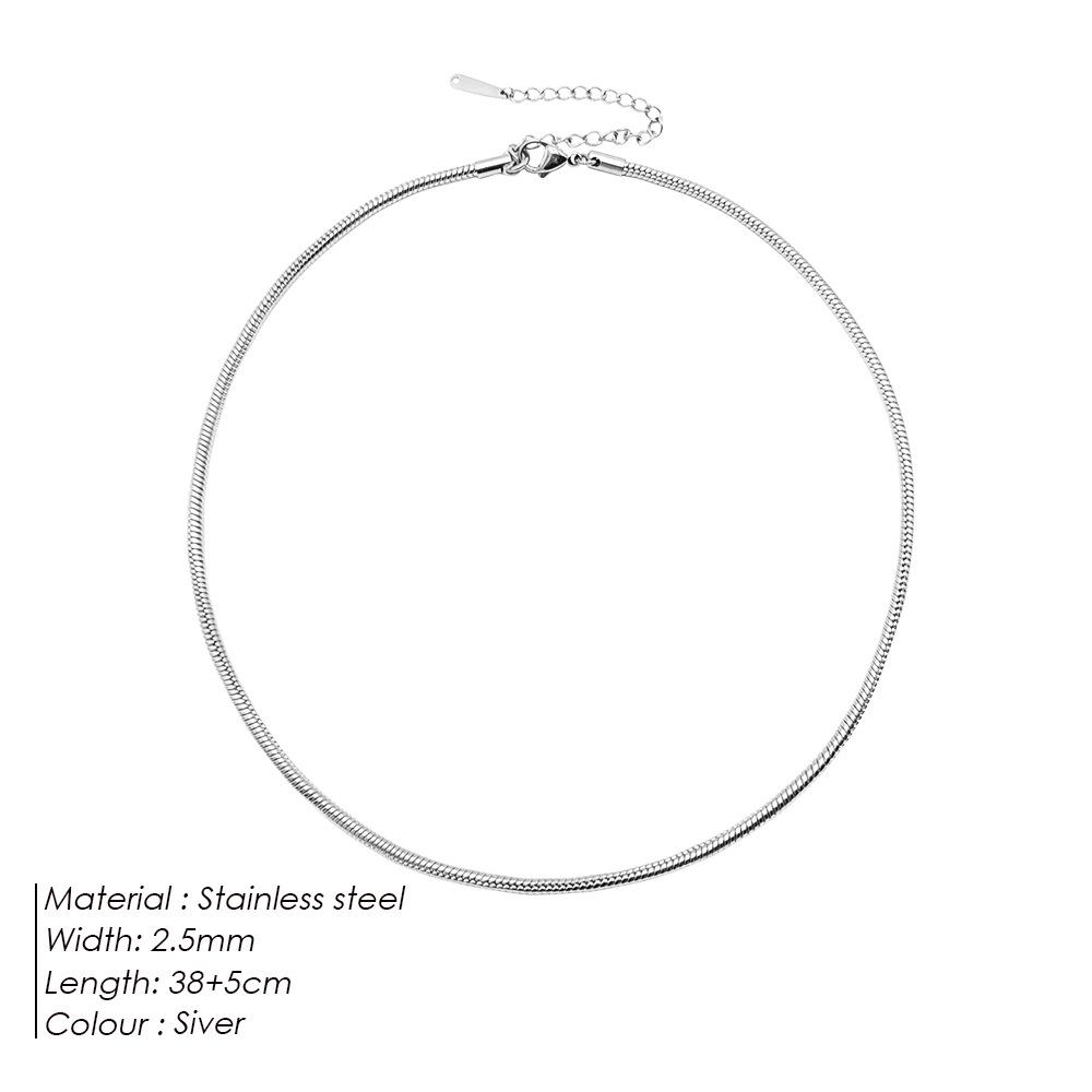 eManco Titanium Steel Round Chain Necklace - Simple European/American Style for Women and Couples, Long Snake Bone Chain, Clavicle Design.
