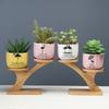 Gardening Cute Cartoon Succulent Flower Pot Simple Creative Personality Nordic Balcony Desktop Plant Flower Ware