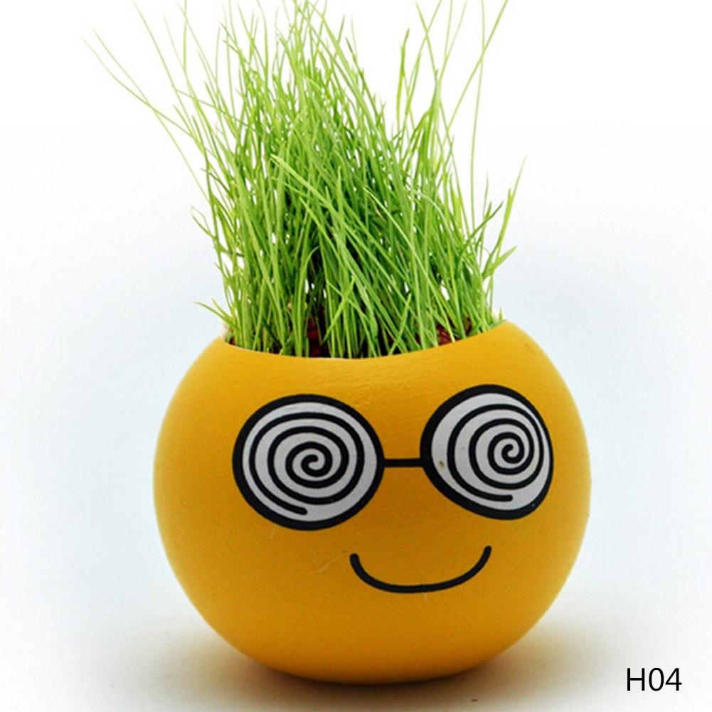 Buy D Cor Emoji Expression Mini Bonsai DIY Grass Hair Mini Desk Plant Pot  at affordable prices  free shipping, real reviews with photos  Joom