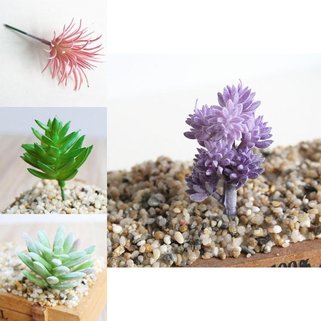 Wunderschön gearbeitete Mini-Künstliche Sukkulenten für Lebensechte Heim- und Bürodekoration