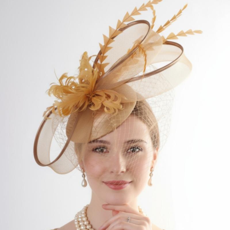 Ladies Feather Hair Pillbox Fascinator Hat Women Elegant Royal Mesh Headwear Ladies Event Wedding Veils Fascinators