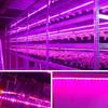 1M/2M/3M/4M/5M Pflanzenlicht Grow LED-Streifen 5V USB LED 1-5m Vollspektrum Wasserdichter LED-Chip für Gewächshaus Blume Setzling Grow Box Hydroponik