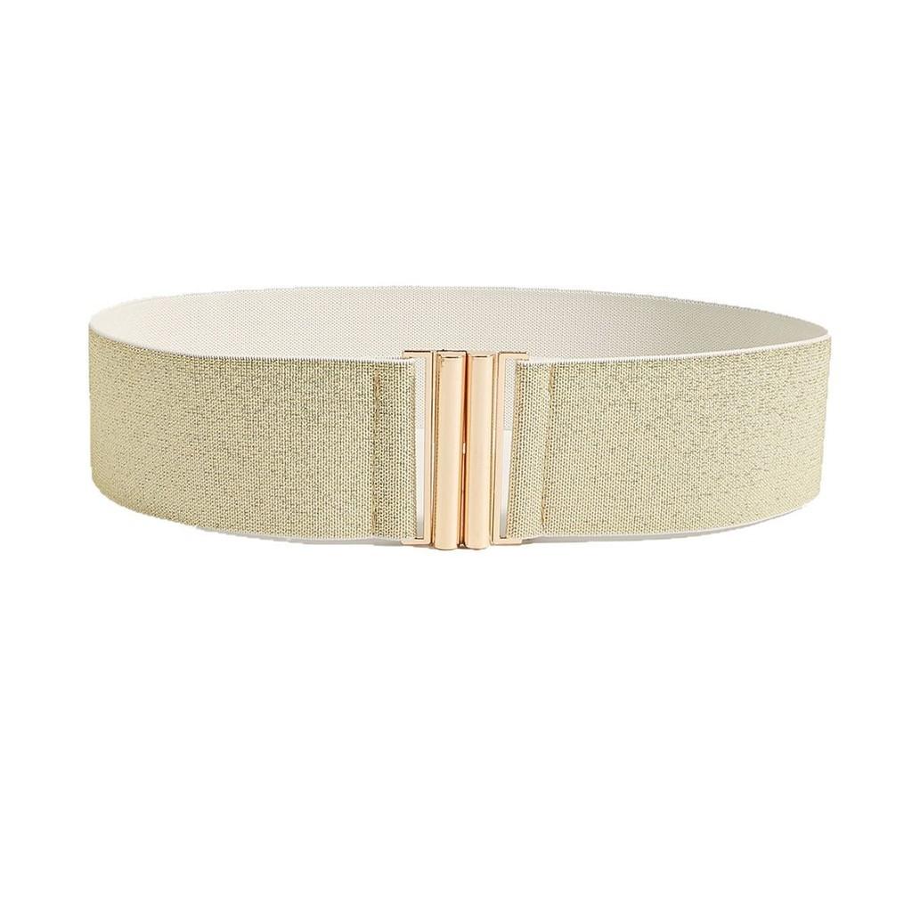 Leopard Retro Print Metal Buckle Wide Elastic Waist Belt Women Street Look Style