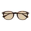 Officially Licensed Sunglasses Boston Combi Frame Demi Gold [FC Barcelona] Men's Brown/Shirring