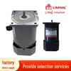 CM09IG120SDFV Liming Motor 240V 50Hz 120W