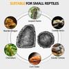 Reptile Feeding Dish Realistic Stone-Like Reptile Water Dish Food Bowl Terrarium Reptile Feeding Corner Bowl for Bearded Dragons Lizard Frog Gecko