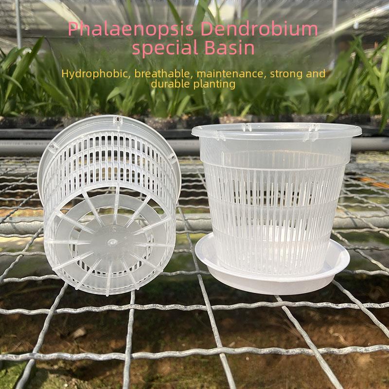 Breathable Plastic Orchid Pot - Anti-Rot, Ideal for Phalaenopsis and Hydroponic Plants
