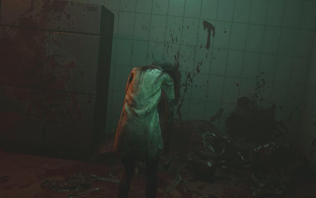 Hashi Ni Shakukonro Digital Wallpaper Set due to expiration date PS5 Onna-ki Unavailable/Unusable -