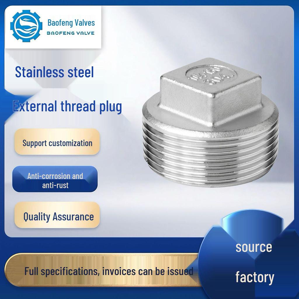 304/316L Stainless Steel Square Head Male Thread Pipe Plug Cap