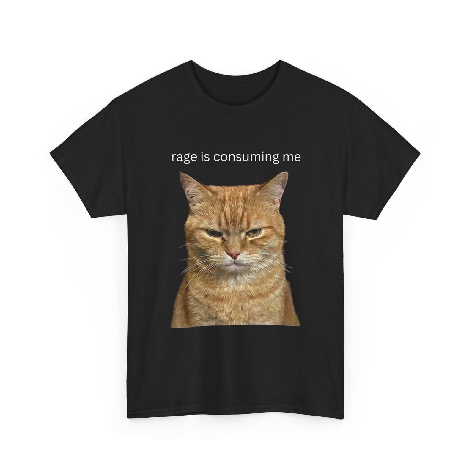 Rage Is Consuming Me Shirt - Funny Angry Cat Meme T-Shirt, Relatable Humor Tee 3XL
