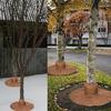 Winter Tree Root Protector Plant Anti Freeze Protection Bag Freeze Protection Tree Trunk Protector Guard Warm Tree Plant Covers