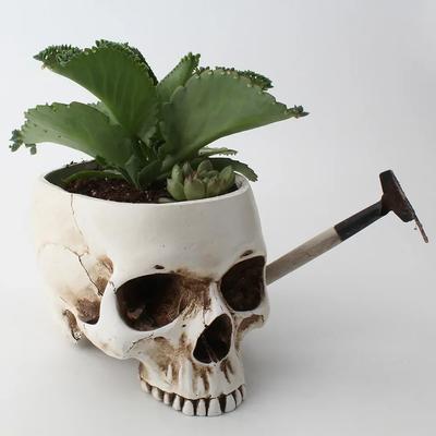 Resin Halloween Skull Candy Bowl, Planter Dish Flower Pot, Sculpture Skeleton Statue Open Skeleton Skull Figurine Medium Bowl