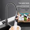 Kitchen Pull-Out Retractable Swivel Faucet
