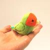 cocorita Lovebird Magnet