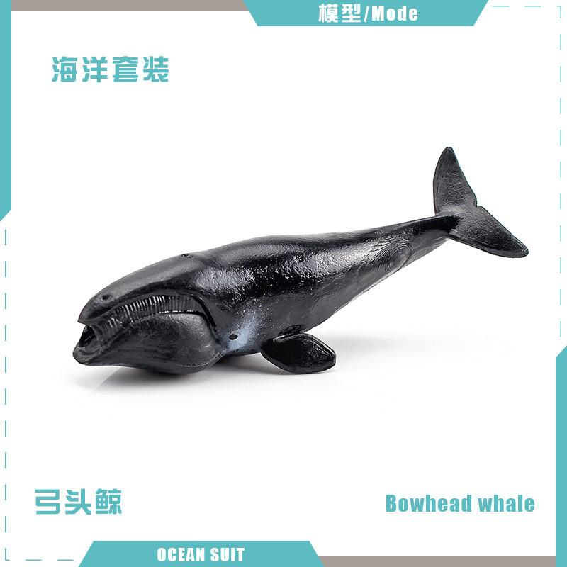 Zestaw modeli zwierząt oceanicznych premium z PVC, w tym rekiny, żółwie, delfiny, pingwiny i kraby do zabawy edukacyjnej