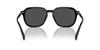 Sunglasses HC8383U CL912 BLACK 55 [Coach]