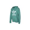 Sweatshirt Women's Aqua Green (Unisex) Sweatshirts FM3297