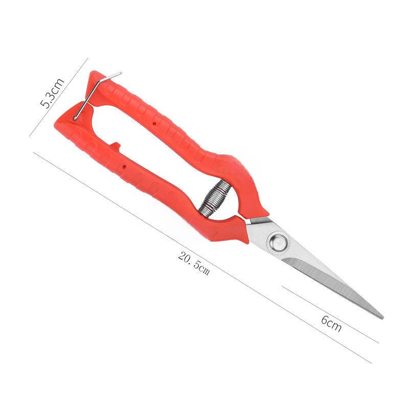 Stainless Steel Garden Pruning Shears for Thinning, Fruit Picking, and Orchard Gardening.