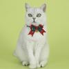 Świąteczna obroża dla kota czerwono-zielona w kratę z kokardą regulowana obroża z kokardą z dzwoneczkiem dla kotów rekwizyt do sesji zdjęciowych na Boże Narodzenie