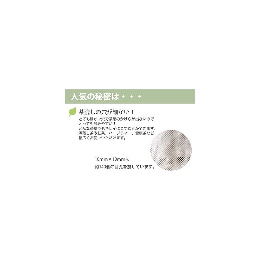 Hasami Ware Garden SS Kyusu Teapot Glass 600ml Japanese Porcelain Tea Pot