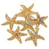 2pcs Creative Starfish Colored Round Bead Pendant Fashion Charm Stainless Steel DIY Jewelry Accessories  Direct Sales
