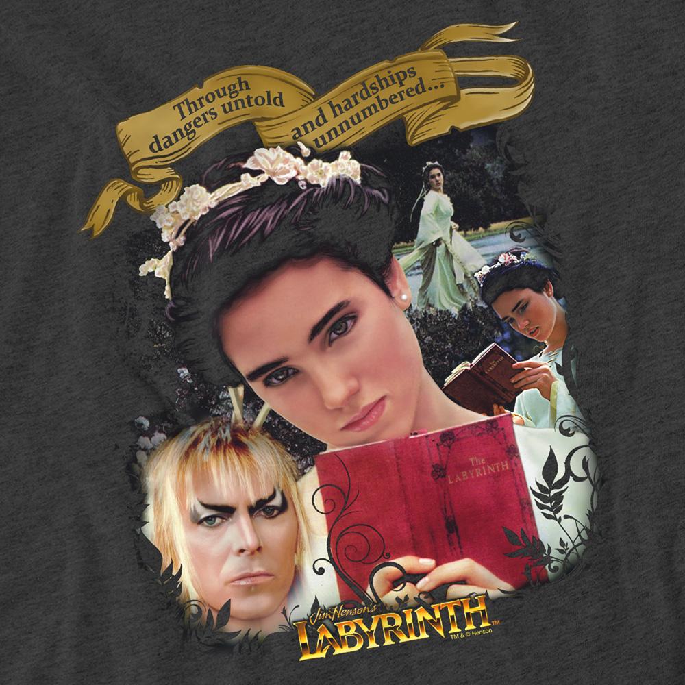 Labyrinth Unisex Adult Dangers Untold Heather T-Shirt
