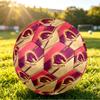 Brisbane Broncos Size 5 Sports Training Ball Shock Absorbing Durable Ball For Match Daily Practice Outdoor Activities