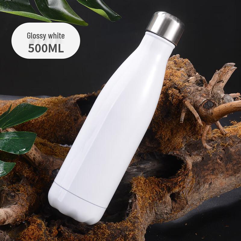 

304 Stainless Steel Vacuum Insulated Sports Water Bottle (2-Pack)