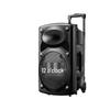 12-Inch Portable Bluetooth Speaker with High Volume for Outdoor Events and Karaoke