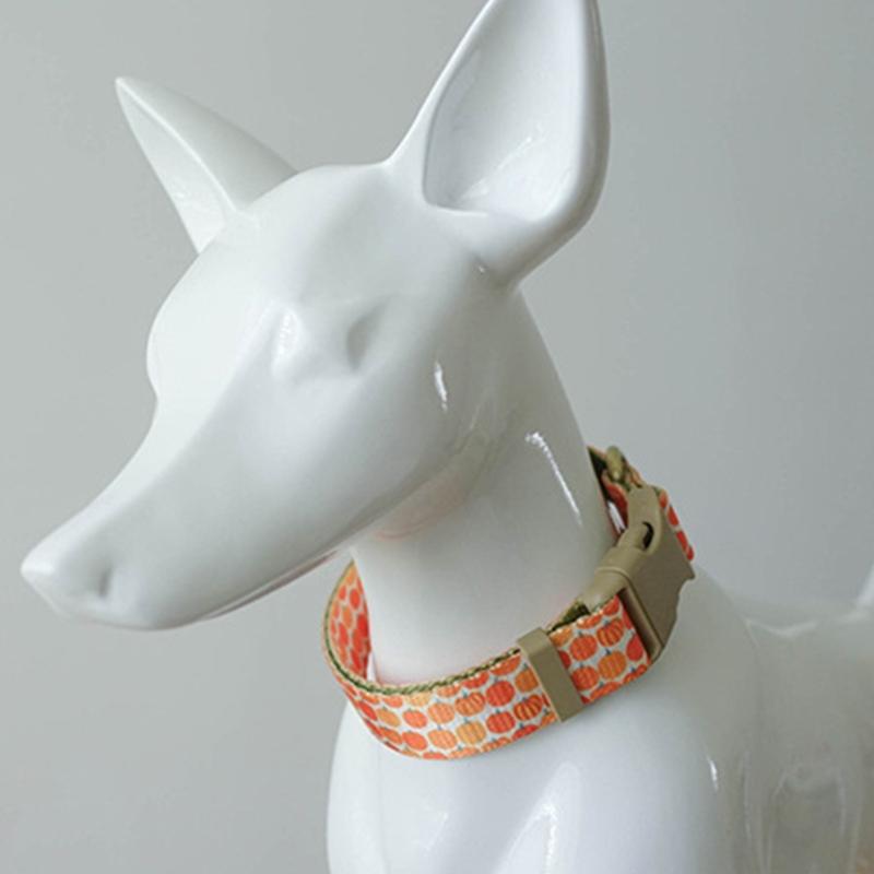 Dog Lovely Pumpkin Collar Leash Comfortable Dog Collar Leash for Medium Dogs Leash Harvest Theme Leash