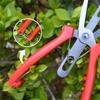 1Pc Double-Edged Fruit Flower Thinning Scissors Carbon Steel Garden Orchard Plant Kiwi Pear Apple Trees Multi-use Pruning Tools