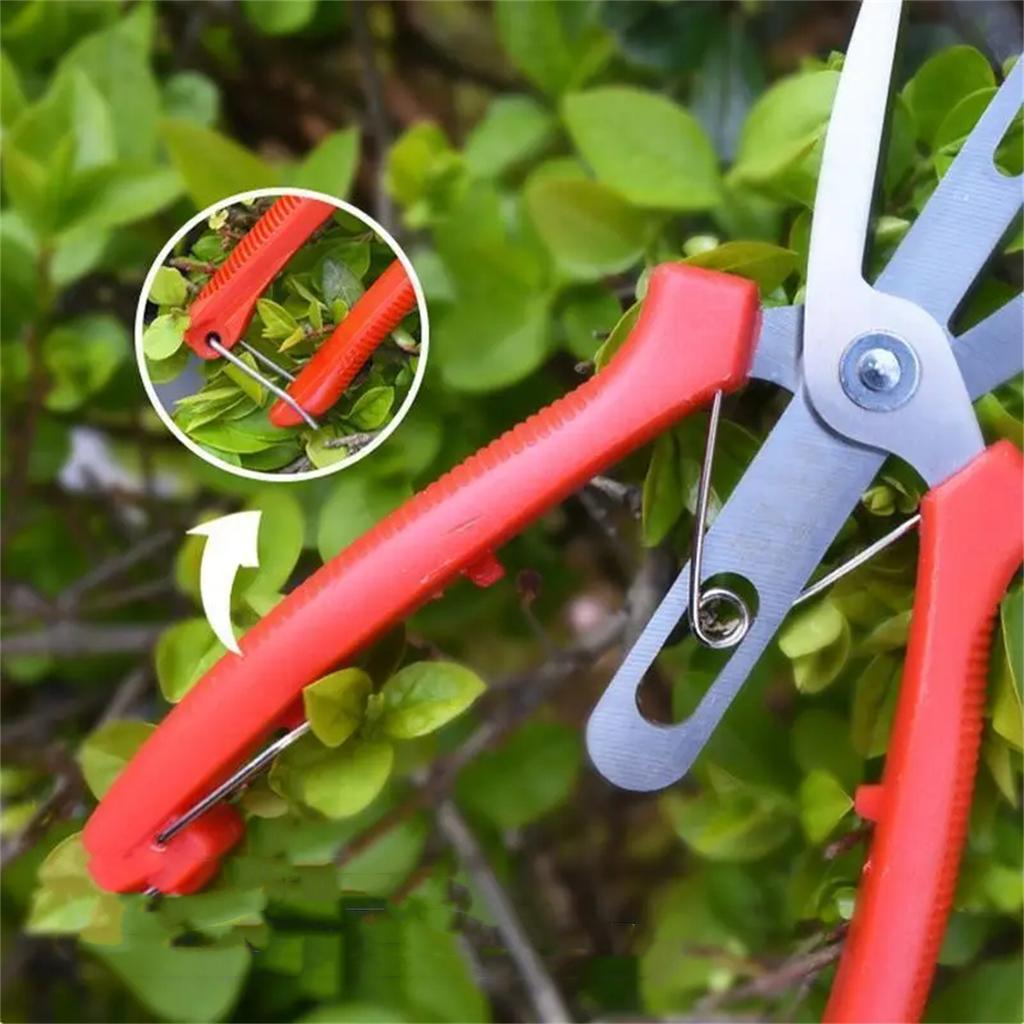 1Pc Double-Edged Fruit Flower Thinning Scissors Carbon Steel Garden Orchard Plant Kiwi Pear Apple Trees Multi-use Pruning Tools