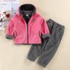 Autumn & Winter Kids' Thickened Warm Casual Outfit Sets – Soft Fleece Solid Zipper Hooded Coat + Pants Suit for Baby Boys and Girls